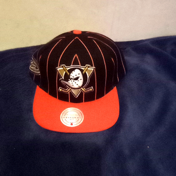 Ducks Hat